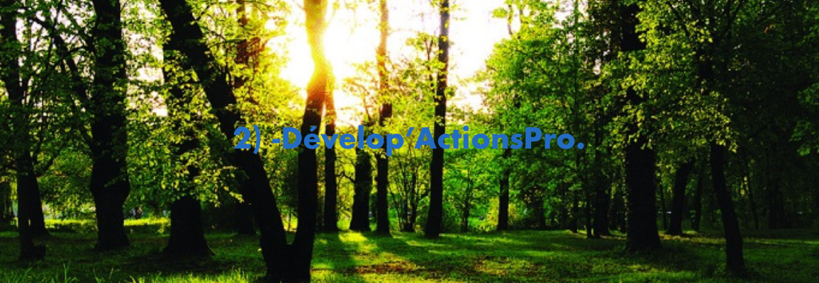 Pour HOMME & FEMME Dévelop'ActionsPro. : DÉVELOPPEMENT & COACHING CARRIÈRE PROFESSIONNELLE - compris COACHING MENTAL